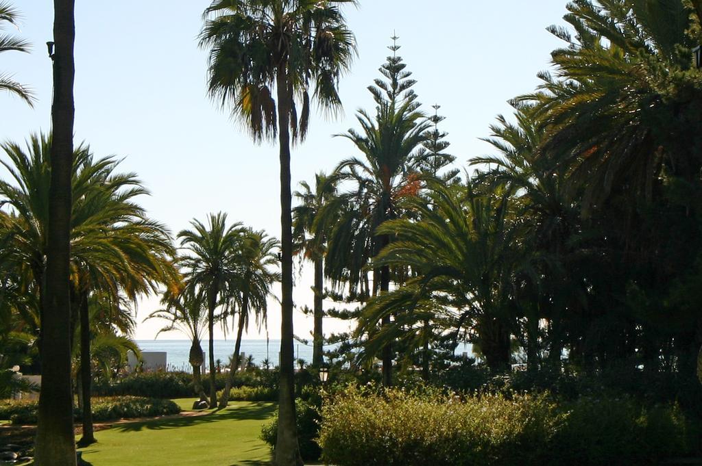 Marbella Apartamentos Sl Exteriör bild